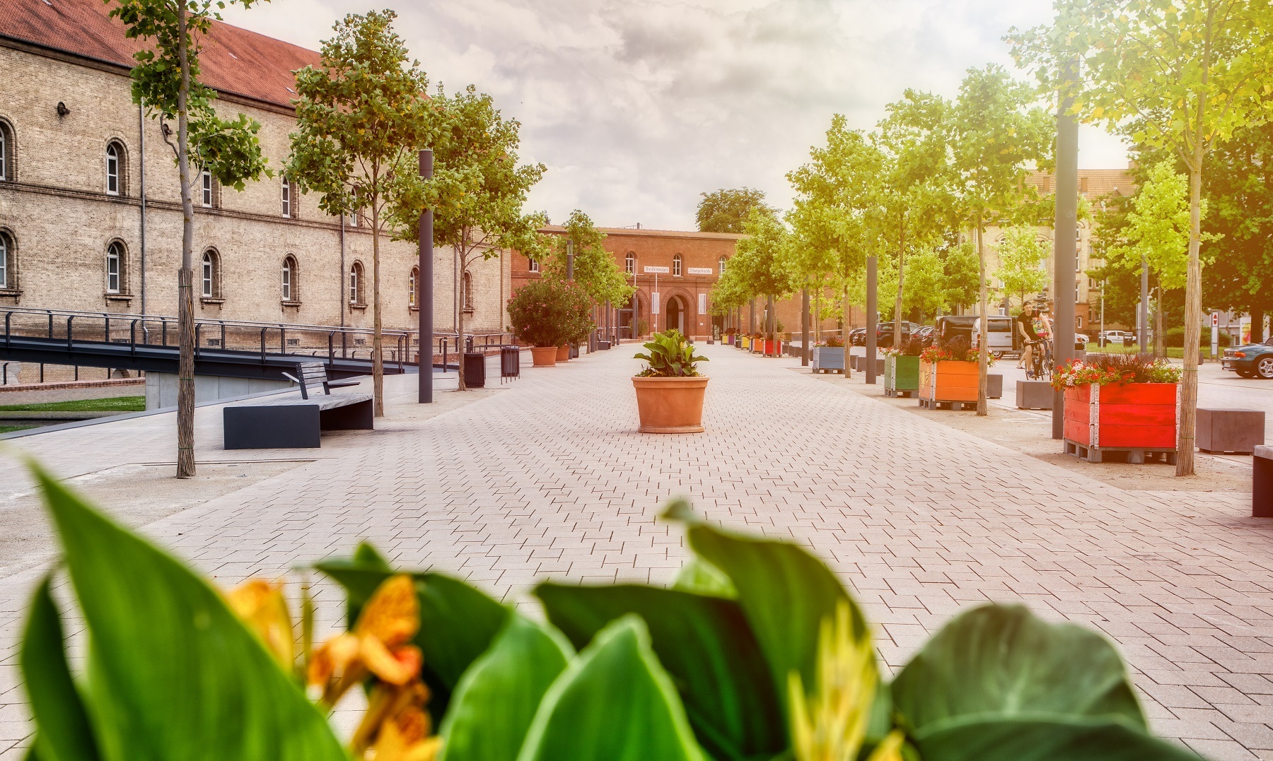 Blick auf den Fußweg vom Paradeplatz, gesäumt mit Sitzbänken und bunt bepflanzten Holzbeeten