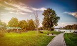 Rheinpromenade mit Sitzgelegenheiten und Sonnenschirmen