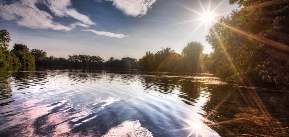 Blick auf die Wasserlandschaft am Sollachsee in Germersheim