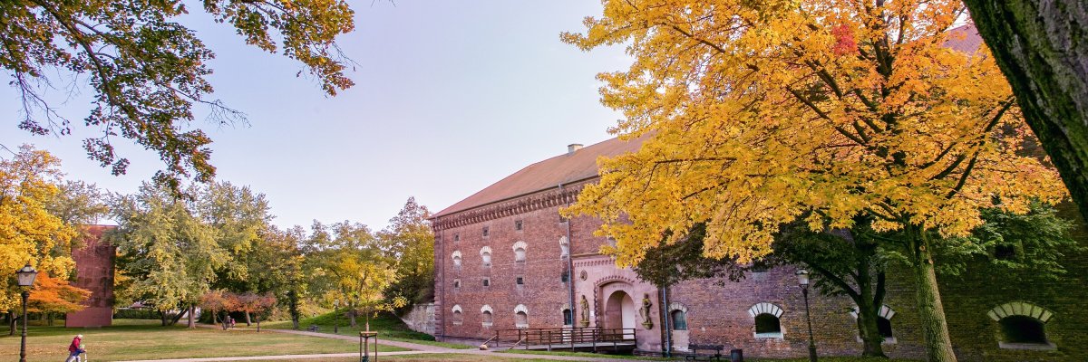 Ludwigstor mit Vorplatz und herbstlich gefärbten Bäumen