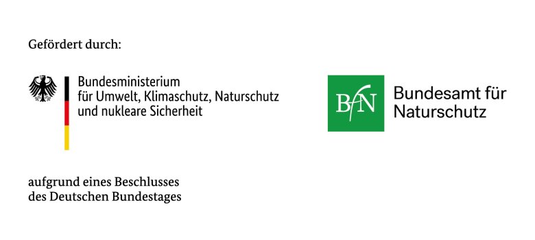 Logoleiste BMUKN und BfN Text " gefördert duch: Bundesministerium für Umwelt, Klimaschutz, Naturschutz und nukleare Sicherheit" rarunter steht " aufgrund eines Beschlusses des Deutschen Bundestages" daneben noch das Logo des BfN. Grünes Quadrat mit weißen Buchstaben "BfN" darin. Daneben steht "Bundesamt für Naturschutz".