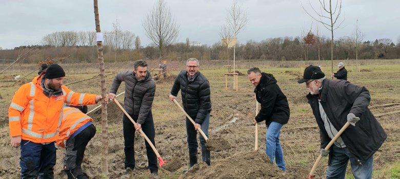 Jubiläumswald- Baumpflanzung Gemeinsam wird einer von 50 Bäumen eingepflanzt