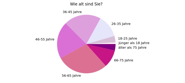 Alter der Befragten Die Grafik zeigt wie alt die Befragten der Umfrage sind. Mehr Informationen im Fließtext.