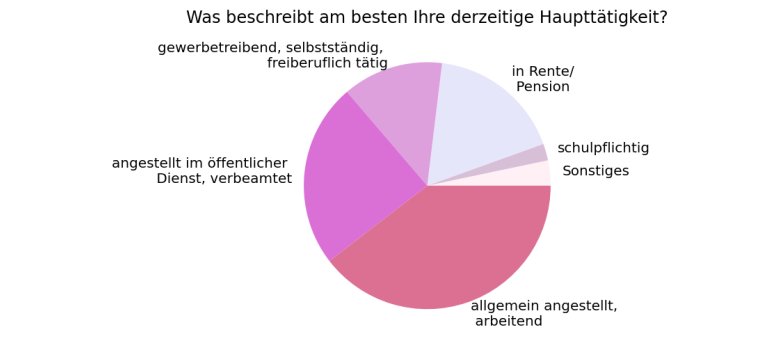 Haupttätigkeit der Befragten Die Grafik zeigt die Haupttätigkeit der Befragten der Umfrage. Mehr Informationen im Fließtext.